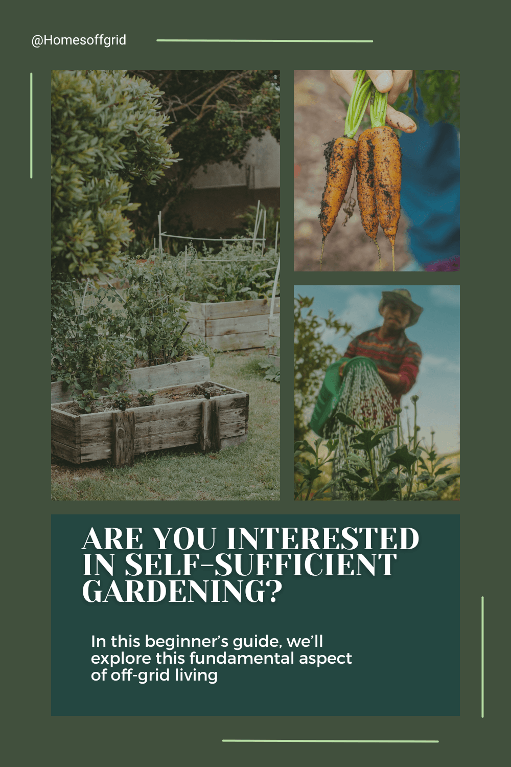A closer look at Self Sufficient Off Grid Apartment Gardening