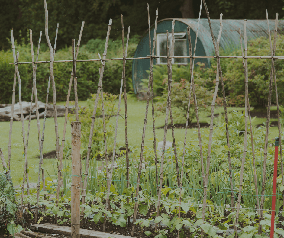 Image showcasing Self-Sufficient Gardening for Off-Grid Living - Homes Off Grid