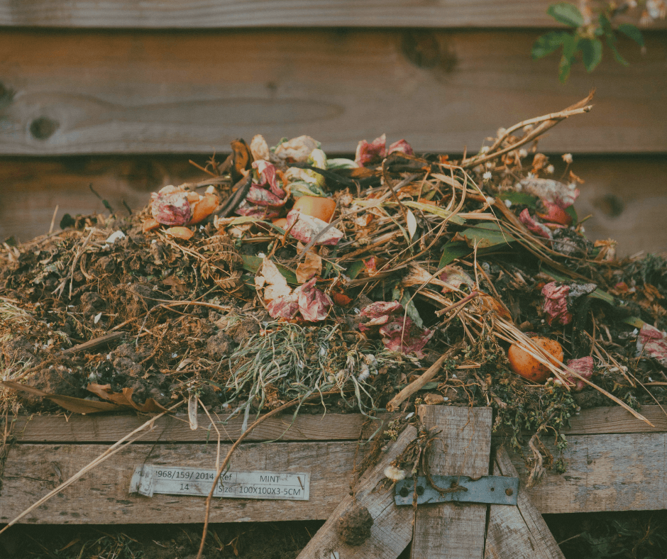 Picture Idea: Self Sufficient Gardening For Off Grid Living