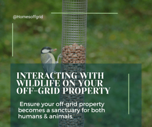 Interacting with wildlife on your off-grid property