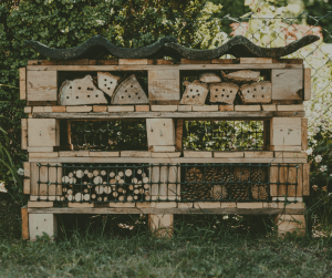 provide nesting opportunities for local wildlife