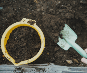 Use the processed compost in your garden