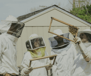 Learn from face-to-face courses in anything from solar setups, to bushcraft or beekeeping