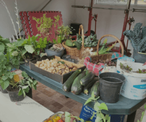 Community food swaps are a great way to connect with fellow off-grid homeowners 