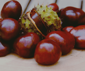 With the right tools you can find which plants are edible and which to avoid