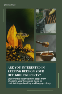 Are you interested in keeping bees on your off-grid property?