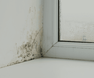 Without proper ventilation mould can develop which can create health problems such as respiratory issues and infections 