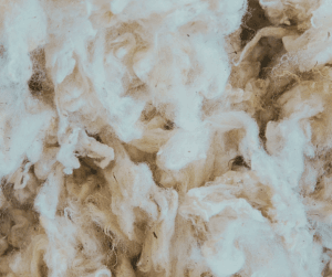 Sheep's wool is a great natural insulation