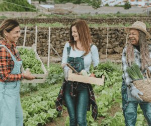 Meet and connect with other nomadic workers