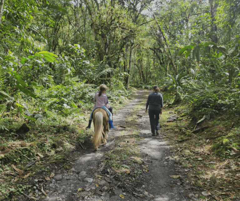 View of Off-Grid in Ecuador: From Family Farm to Rainforest Homestead - Homes ...