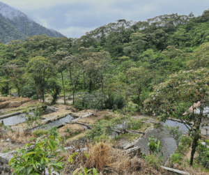 Water storage is essential, not just for the household but also for the family's fish business