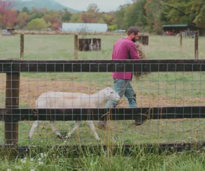 Health and welfare checks are extremely important, even in low maintenance breeds