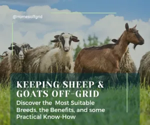 Keeping sheep and goats off-grid
