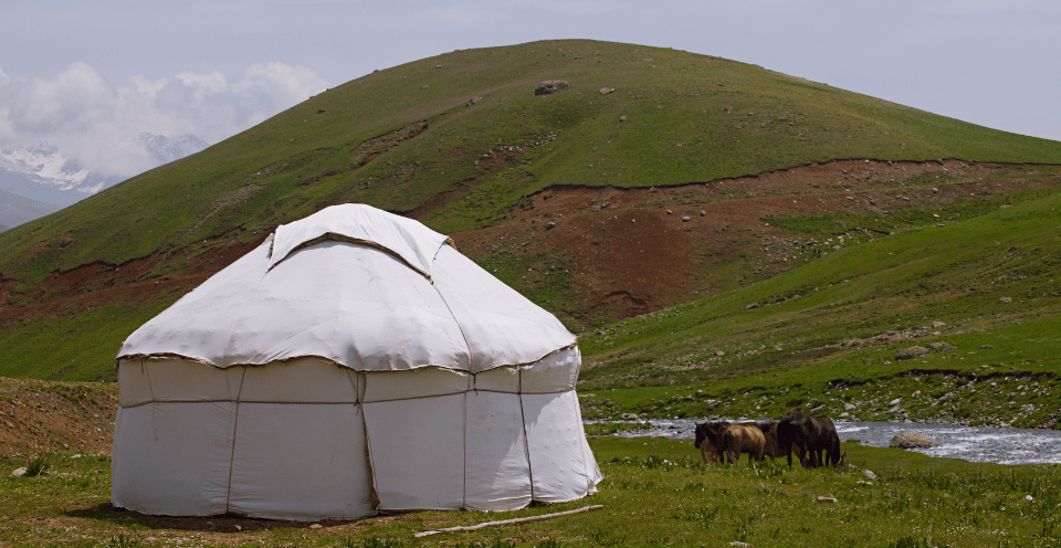 Shepherd yurt in an off-grid field next to 4 horses.