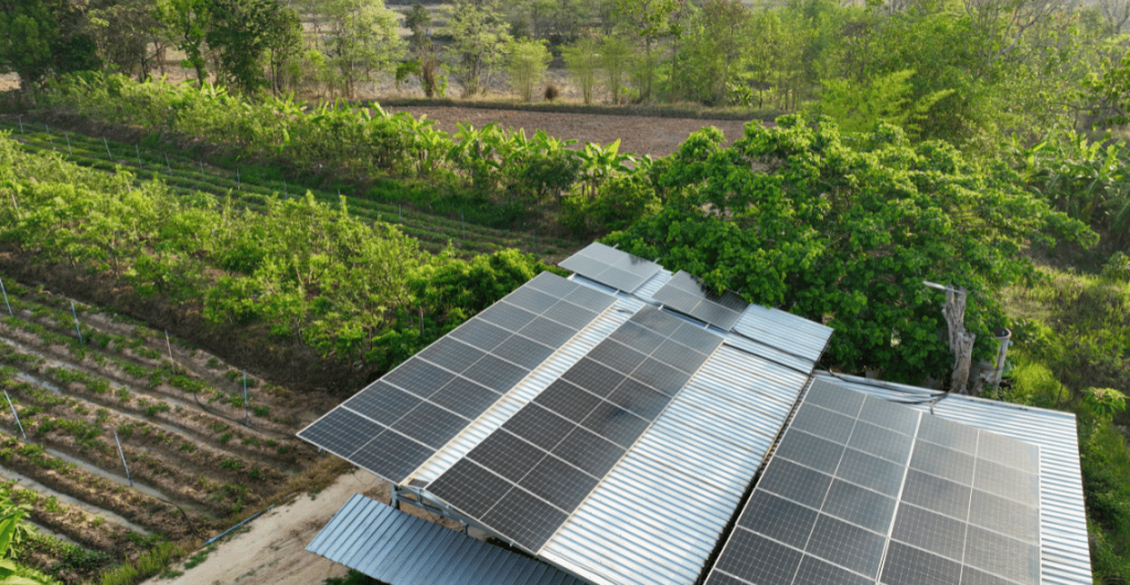 A self-sufficient off-grid home in a forest outside of society.
