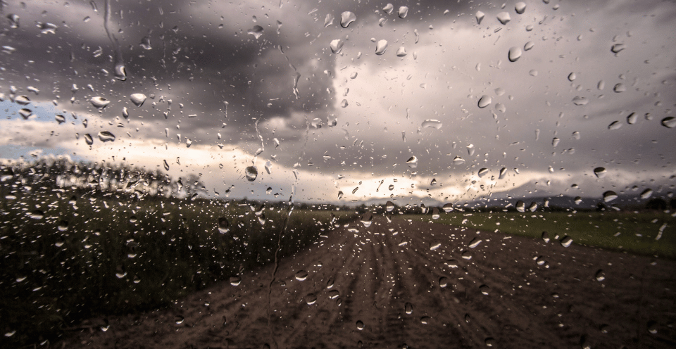UK damp weather in a field behind a window.