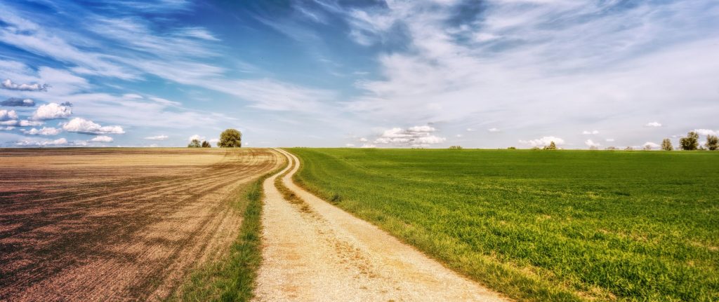 How to Check Whether Land Has Planning Potential in England