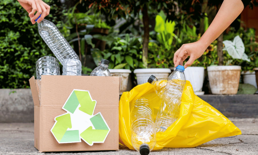 Managing household waste, plastic bottles in a recycling bag placed there by an off-grid family.