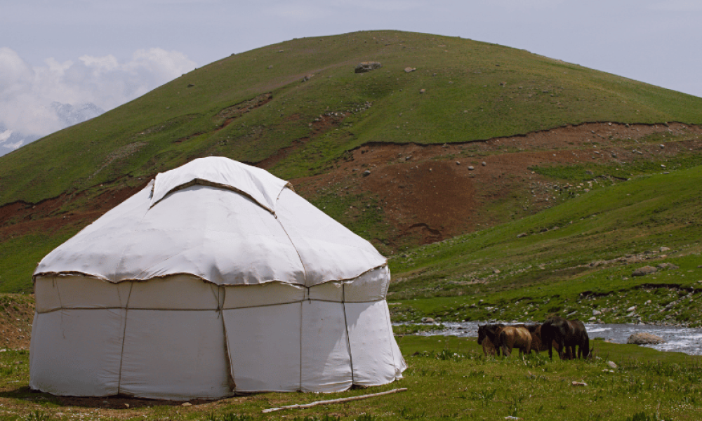 Shepherd yurt in an off-grid field next to 4 horses.