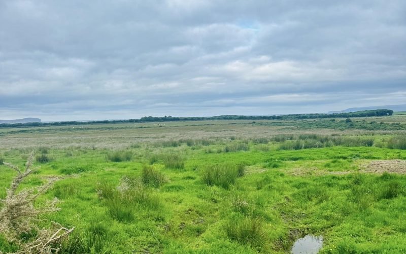 Messenger_creation_262beb45-1859-4b02-acb5-512334e92166