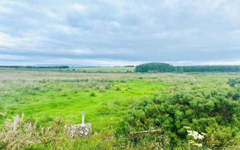 Messenger_creation_423acd54-e136-4edf-a046-c136373f1f3f