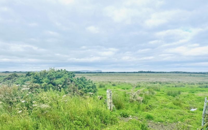 Messenger_creation_4d9220a8-9419-4f5a-8a30-88aae4076963