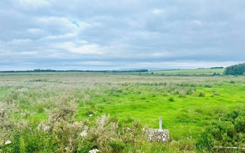 Messenger_creation_dad8e7e8-c643-4e00-8258-4a7dde7693c5