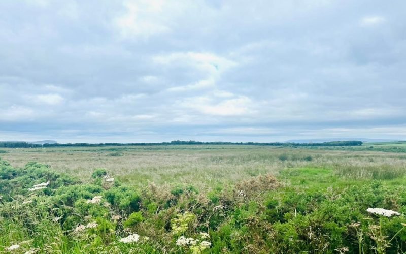 Messenger_creation_ed46c3a4-42b2-4c8b-831a-56b64916d072