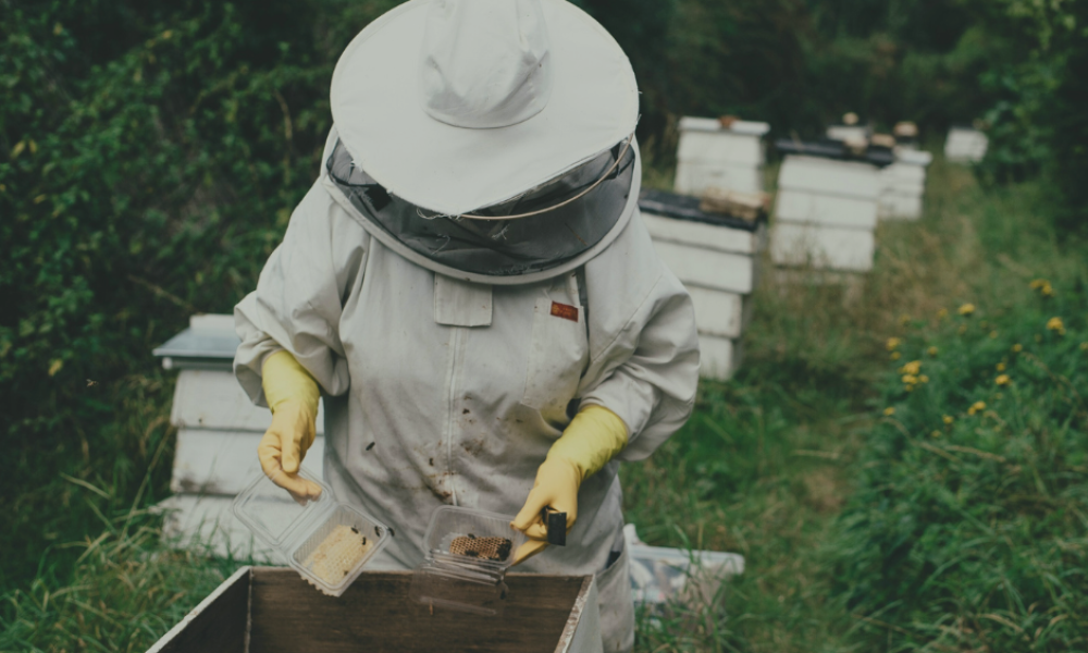 Untitled design - 2025-01-22T131417.119