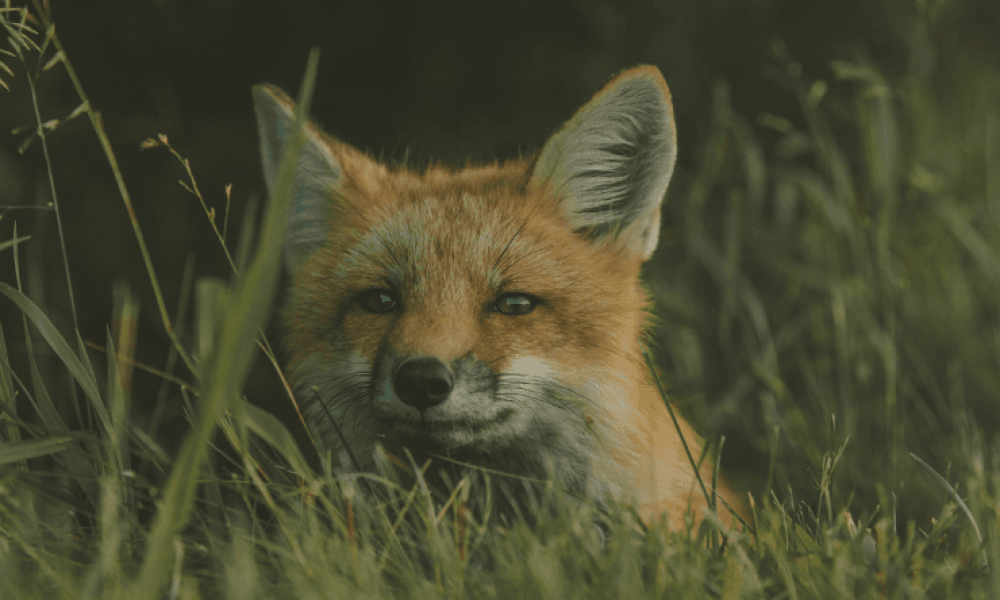 Untitled design (22)