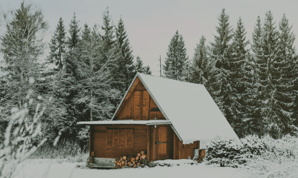 Untitled design (68)