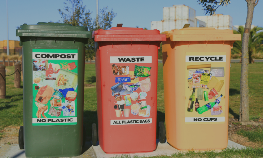 Untitled design (85)