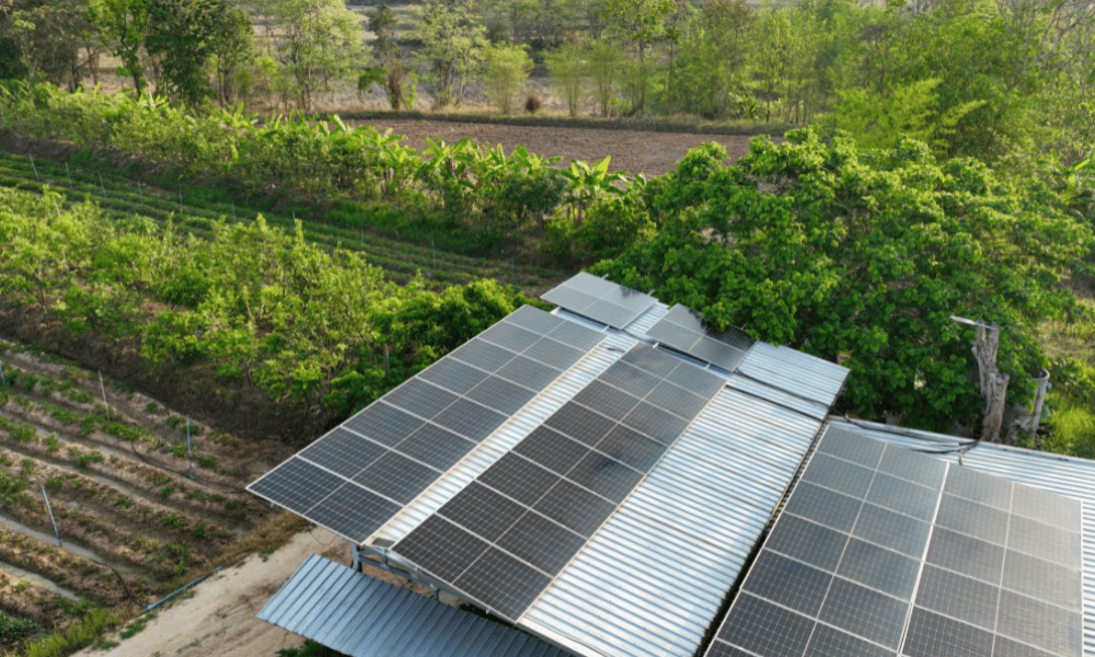 A self-sufficient off-grid home in a forest outside of society.