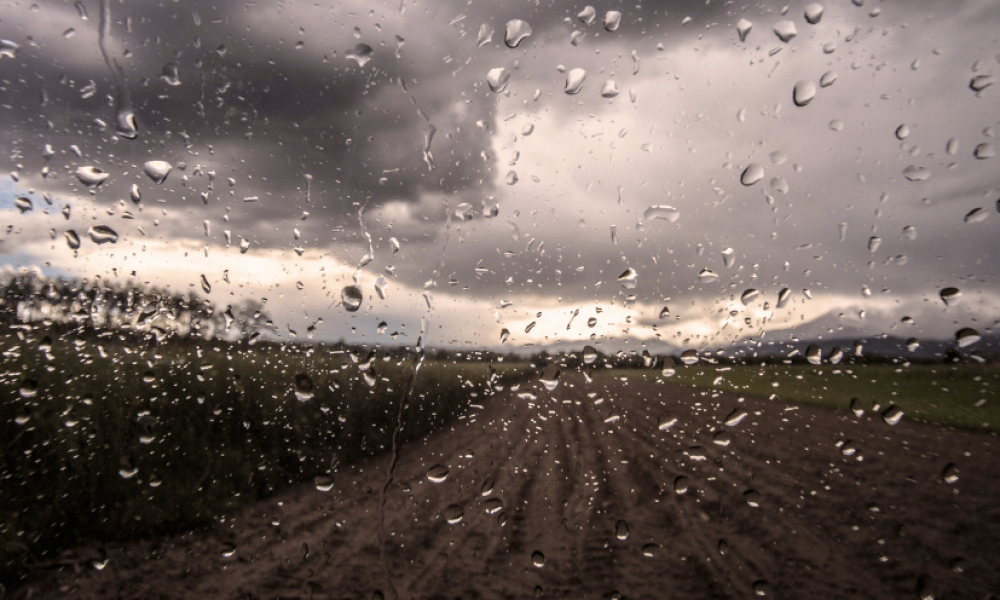 UK damp weather in a field behind a window.