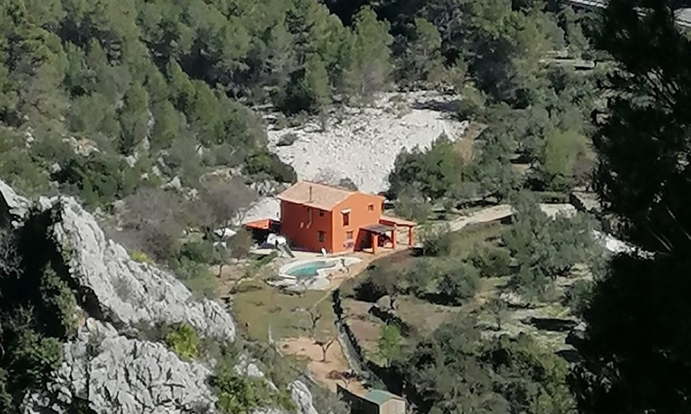 inbound4071026472477290016