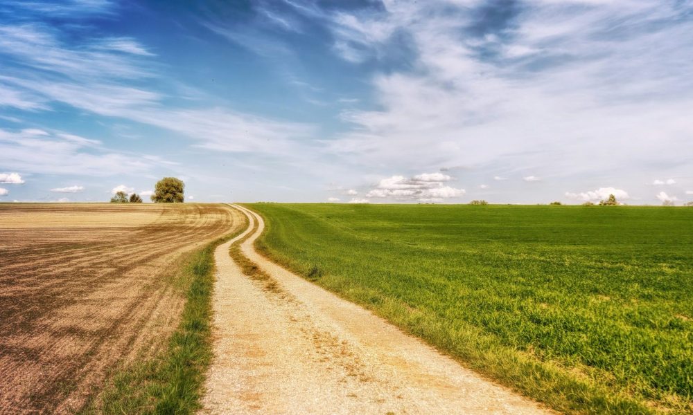 How to Check Whether Land Has Planning Potential in England